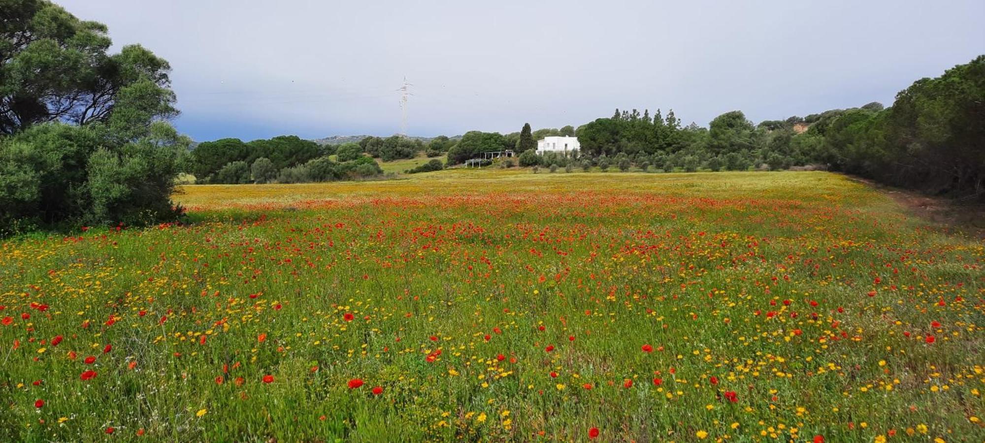 Agreen Country House オルビア エクステリア 写真